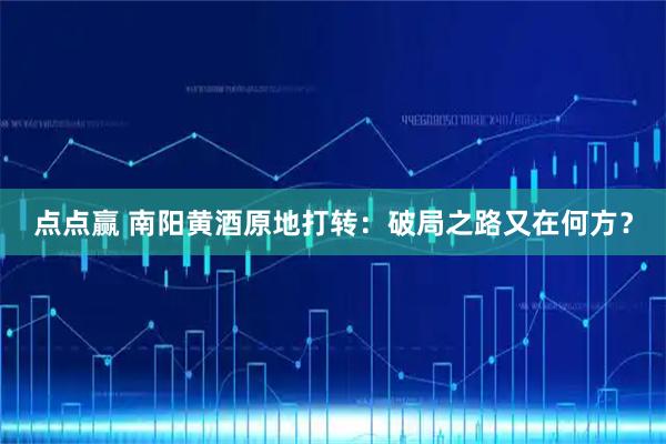点点赢 南阳黄酒原地打转：破局之路又在何方？