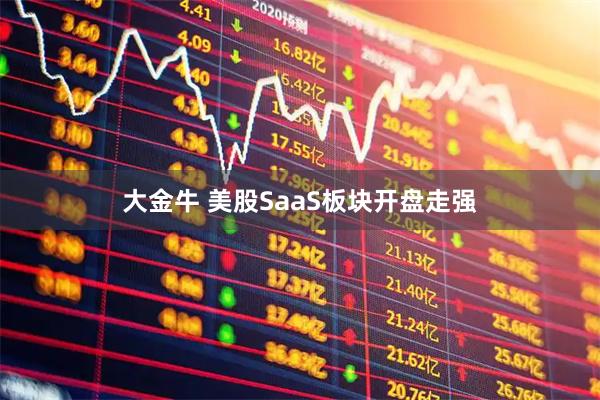 大金牛 美股SaaS板块开盘走强