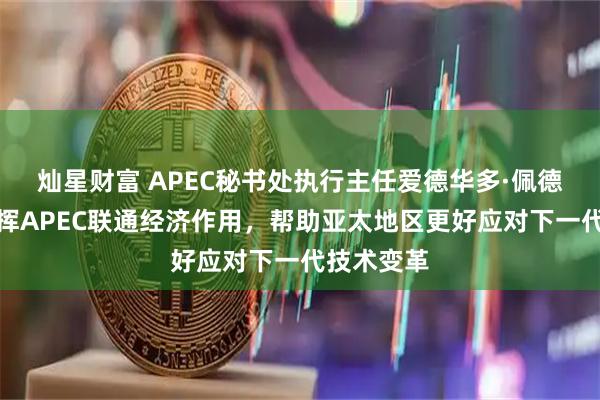 灿星财富 APEC秘书处执行主任爱德华多·佩德罗萨:发挥APEC联通经济作用,帮助亚太地区更好应对下一代技术变革