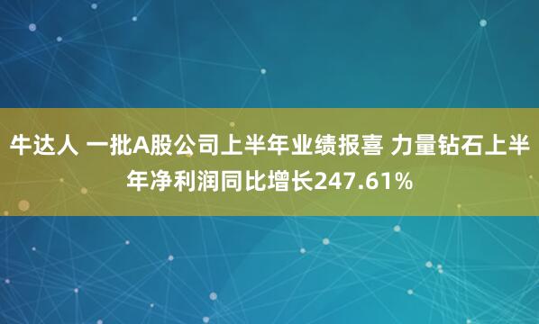 牛达人 一批A股公司上半年业绩报喜 力量钻石上半年净利润同比增长247.61%